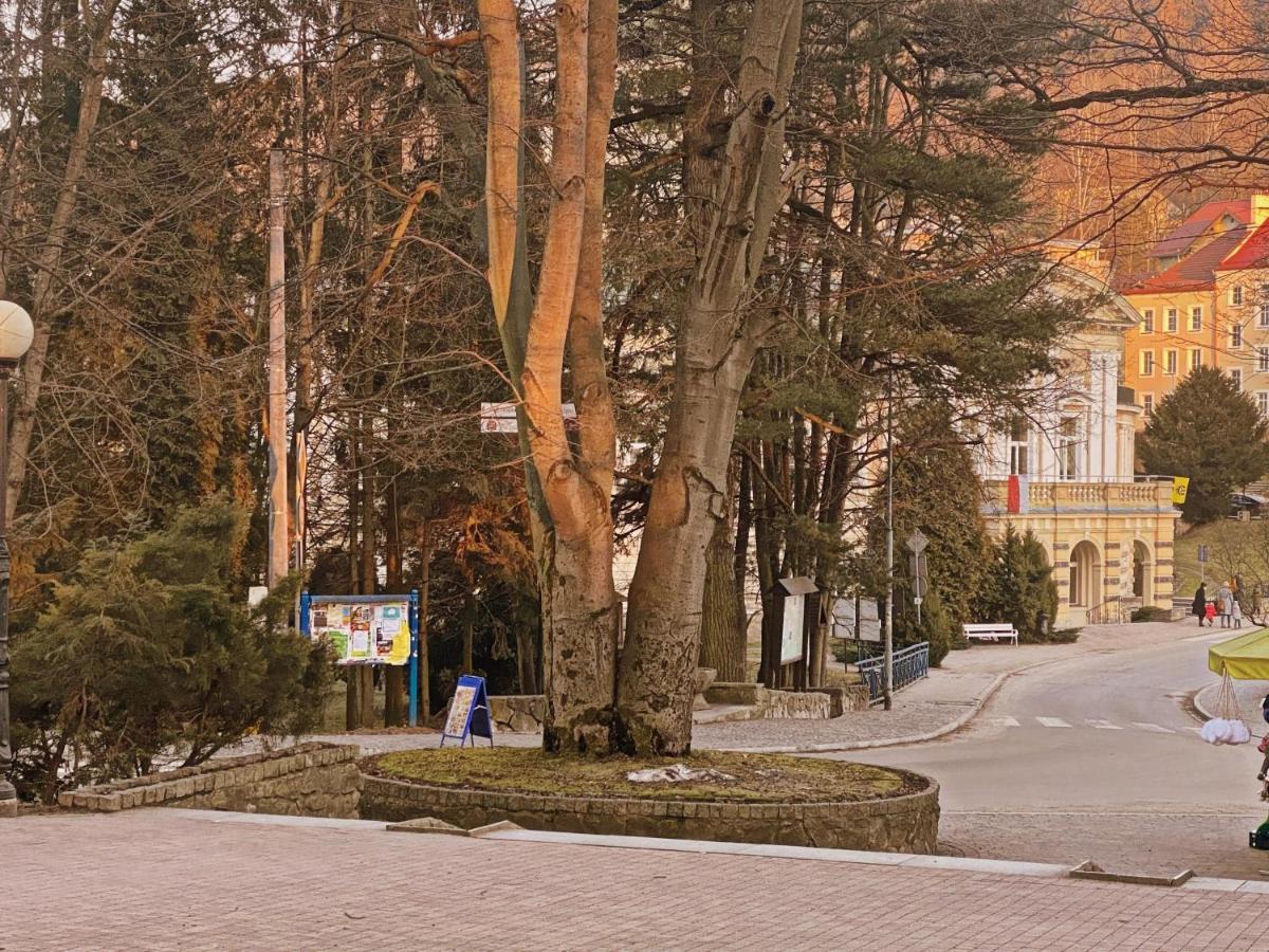 Apartament Zdroj Ladek Exterior photo